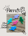 Little Dry Erasables - Parrots - Set of 5