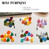 Little Dry Erasables - Mini Pumpkins (10)