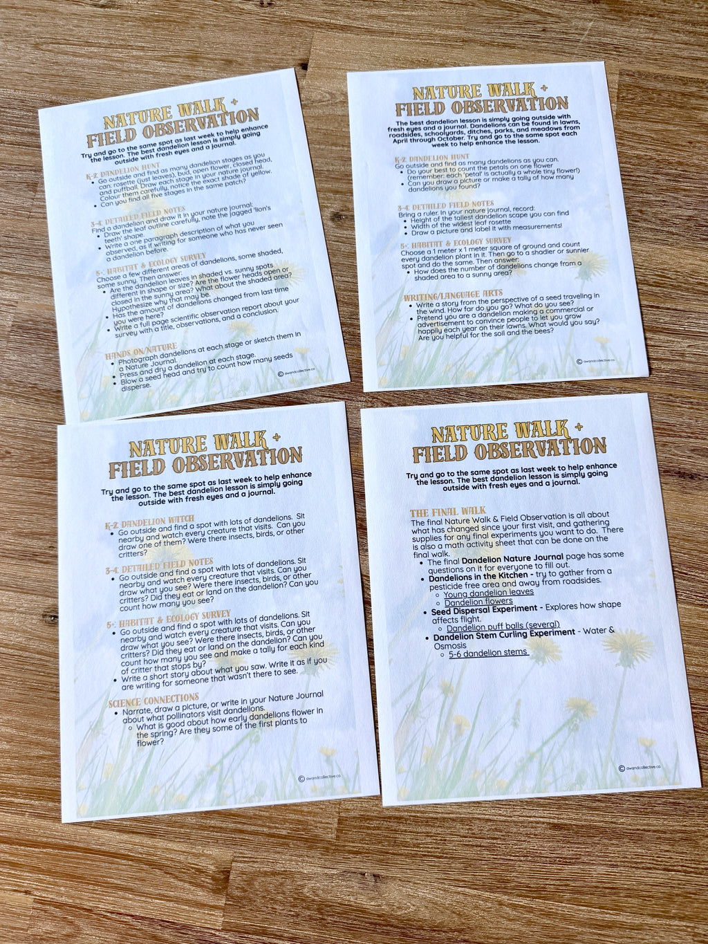 Digital Download | Dandelions Unit Study
