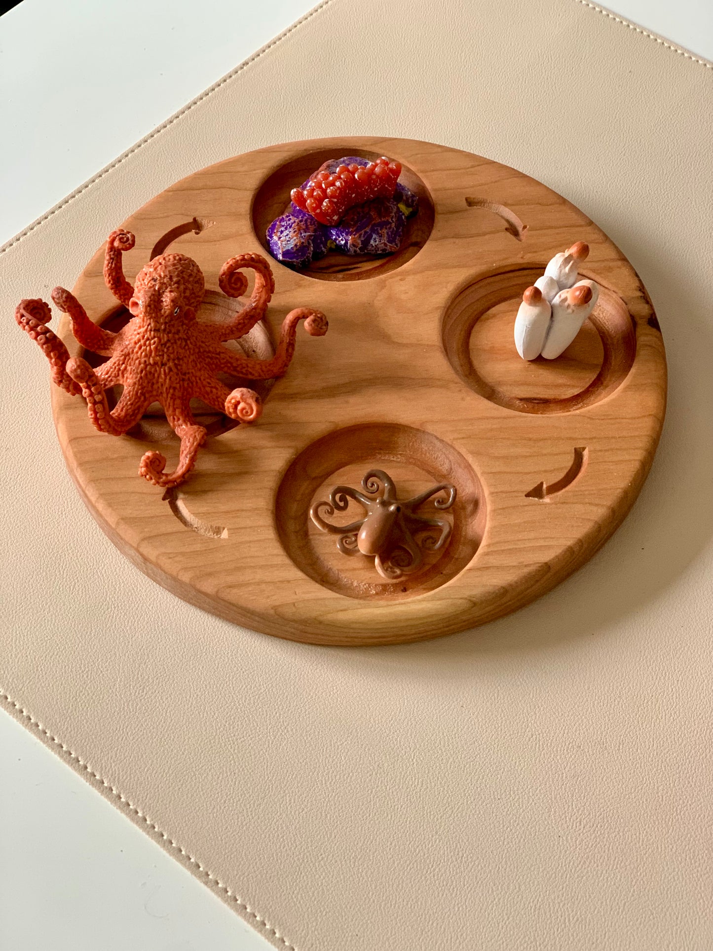 Octopus Life Cycle Figurines