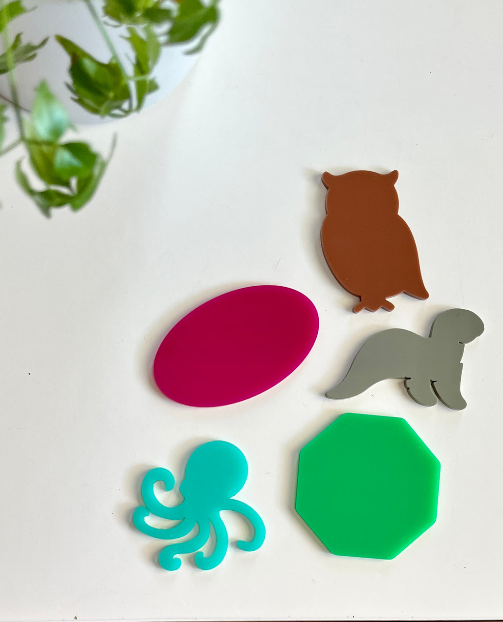 Colorful acrylic shapes including brown owl, gray otter, pink oval, green octagon, and teal octopus on white surface with green plant above