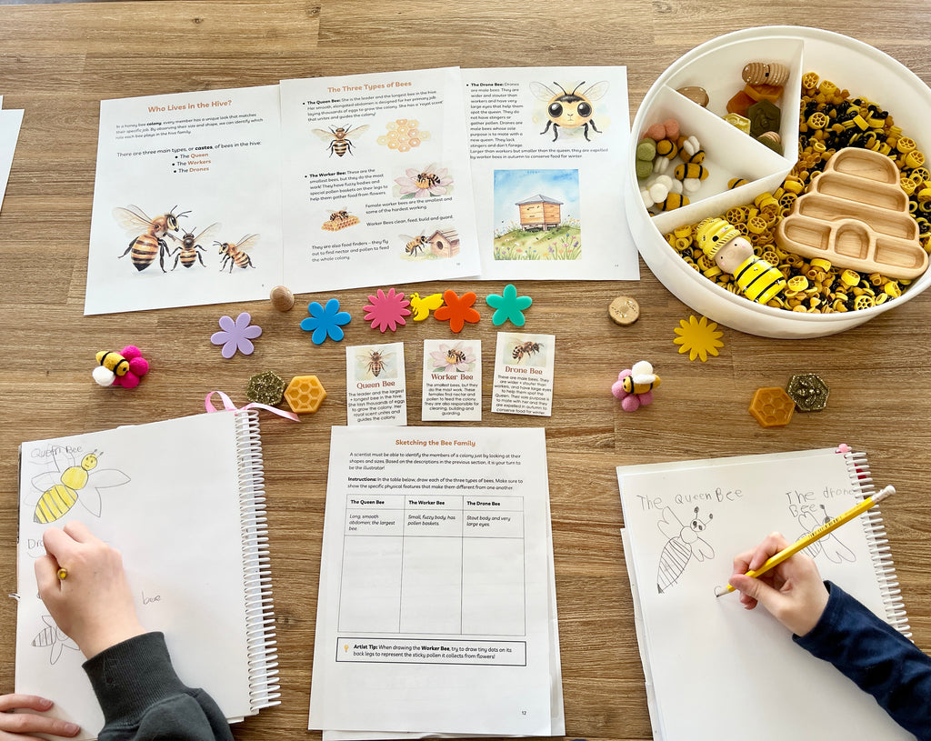 Digital Download | Bees Unit Study featuring children drawing bees in notebooks alongside educational pages, colorful flower tokens, honeycomb shapes, and wooden sensory objects, handcrafted homeschool education resources.