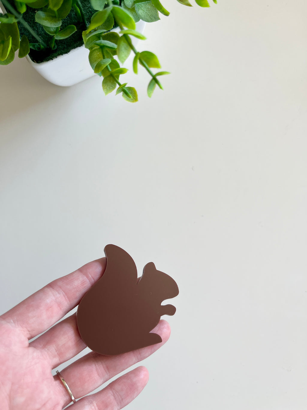 Hand holding a smooth dark brown squirrel-shaped cutout with a green leafy plant nearby on a light surface