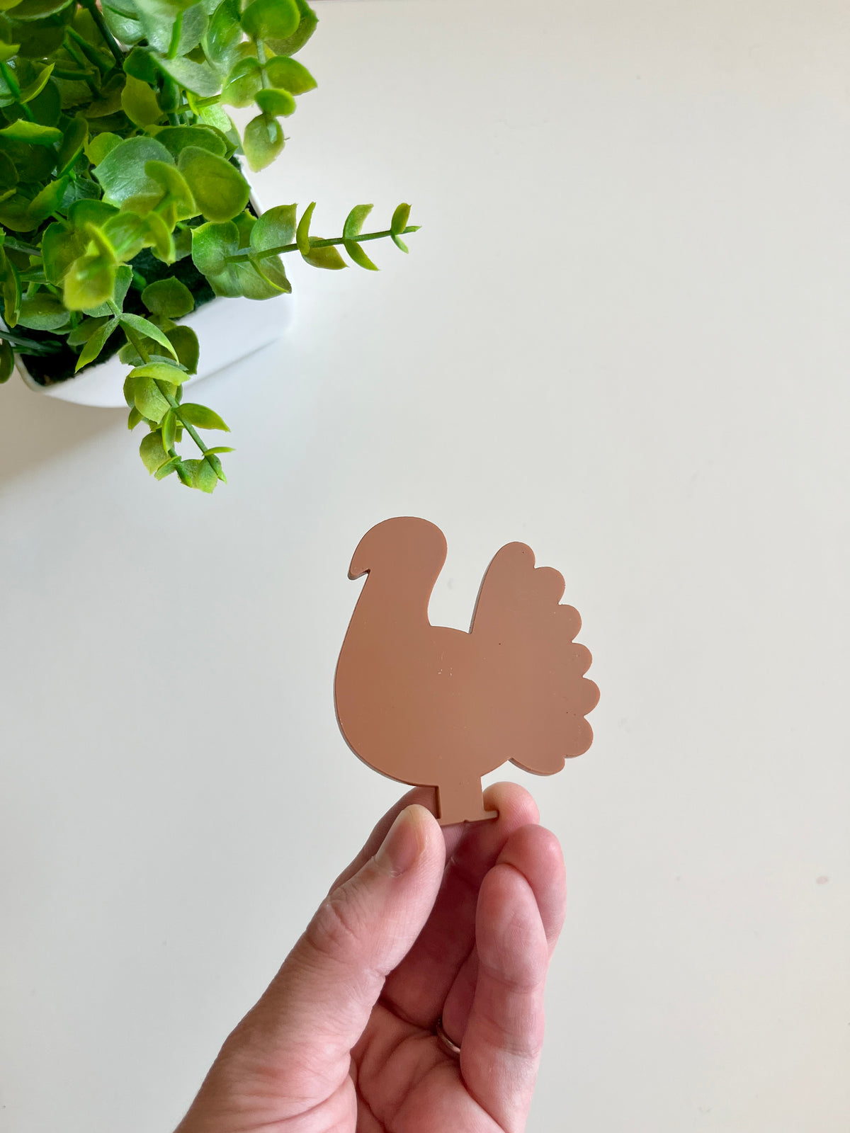 Hand holding a small brown turkey-shaped cutout with a green leafy plant in a white pot nearby