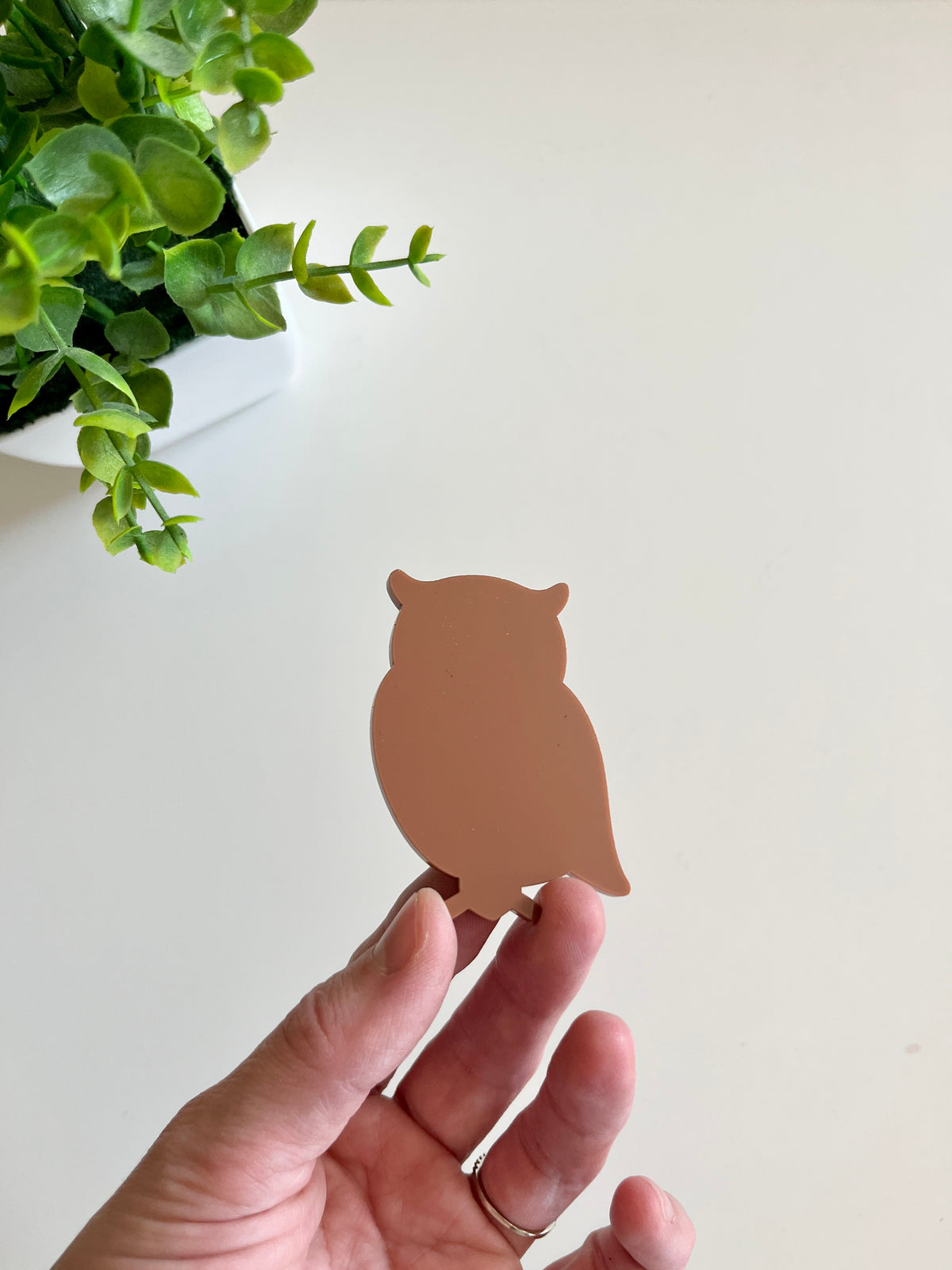 Hand holding a small brown owl-shaped object against a light background with a green plant nearby