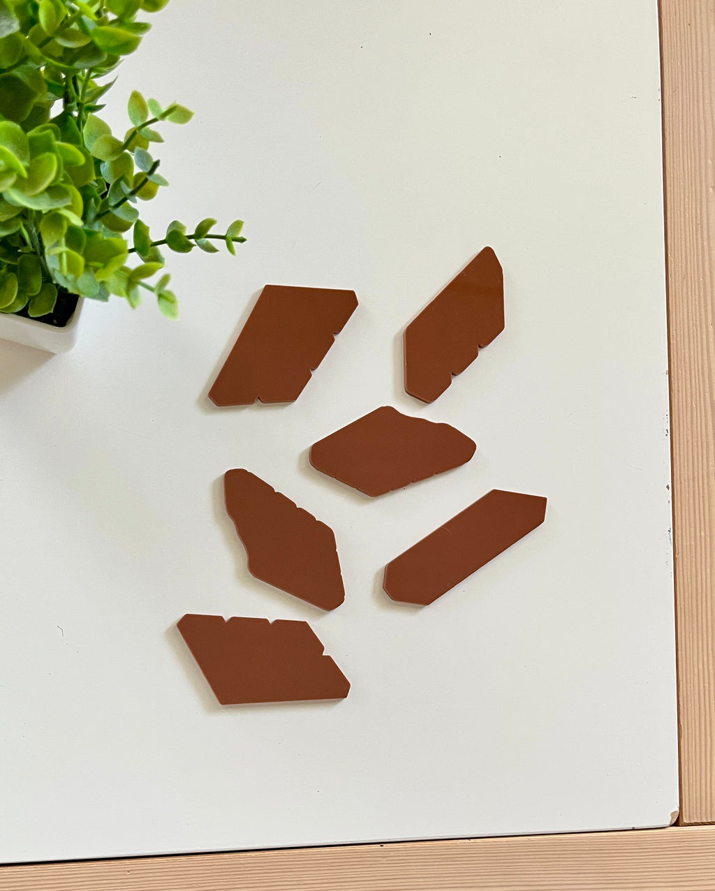 Six brown plastic corner protectors arranged on a white surface next to a small green potted plant