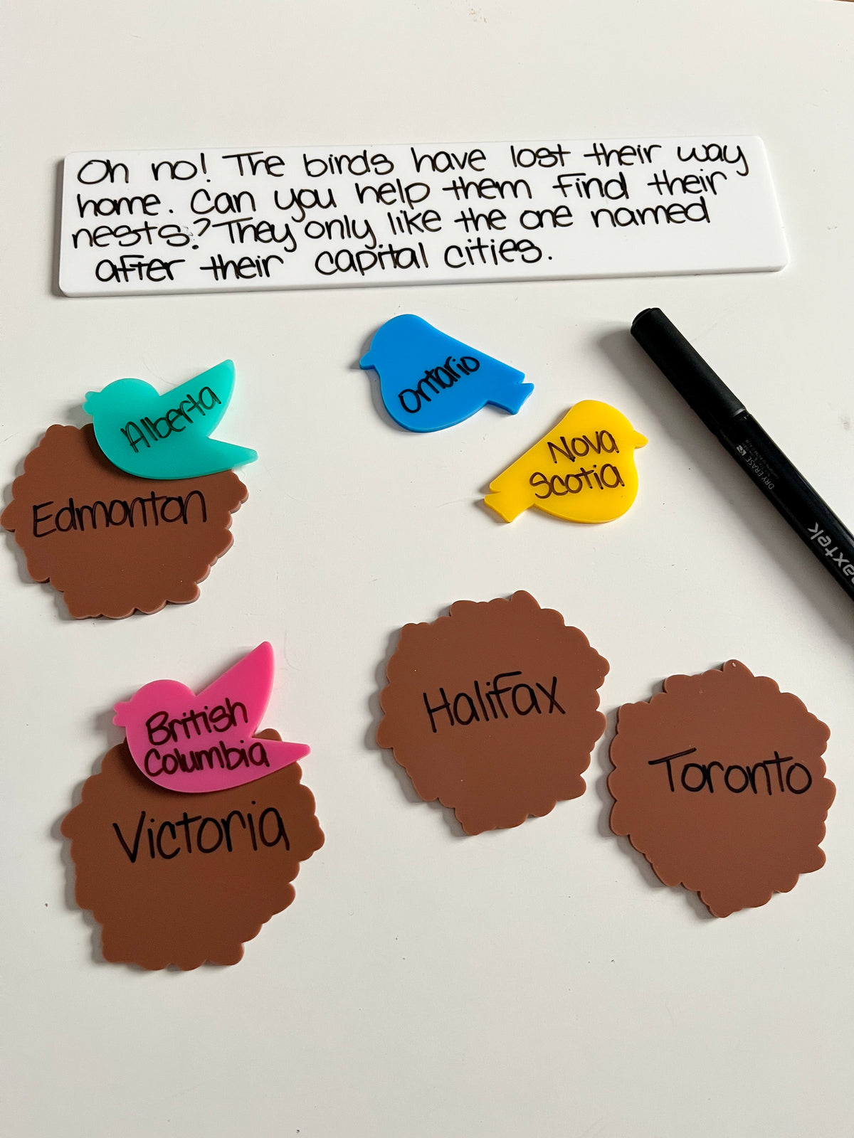 Little Dry Erasables - Birds & Nests featuring colorful bird-shaped pieces and nest shapes with Canadian province and capital city names written on them, black dry-erase marker, handcrafted homeschool education resources.