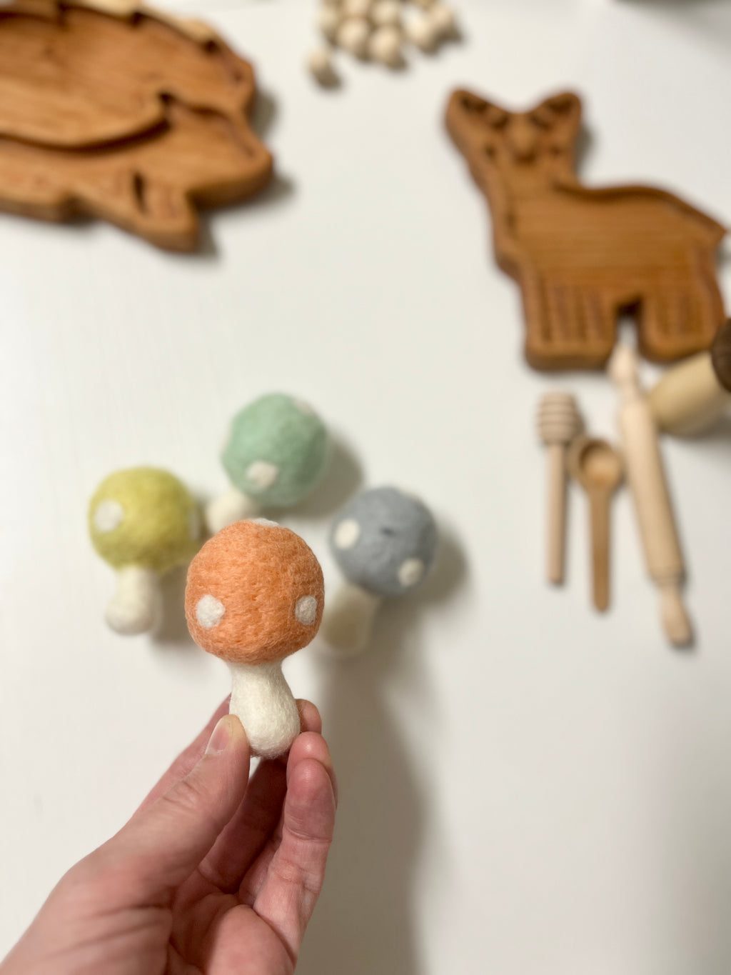 Sweet Toadstool Mushrooms Felt Toy Set of 4