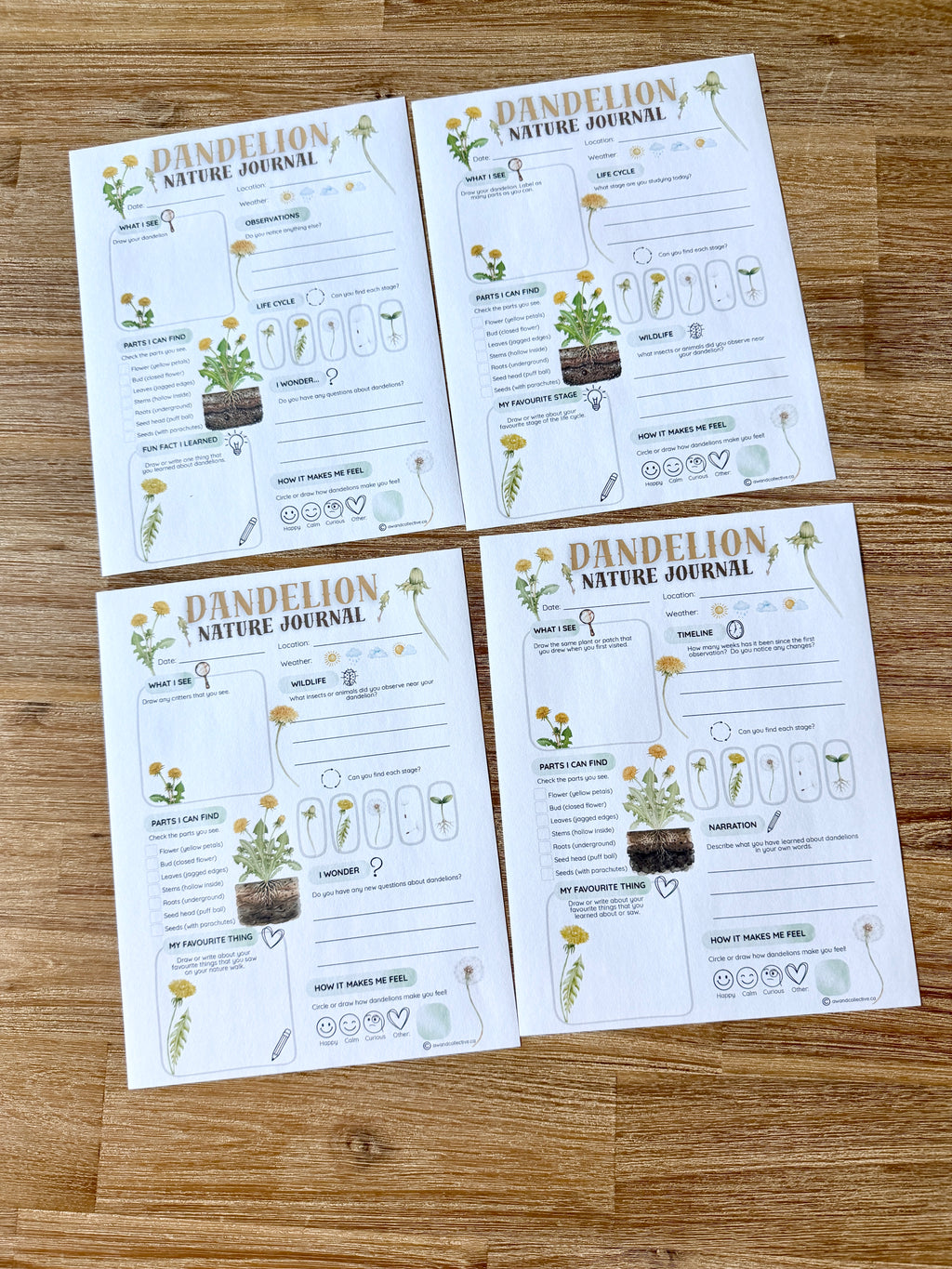 Digital Download | Dandelions Unit Study