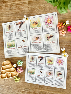 Digital Download | Bee Informational Flash Cards | Comes With 2 Sizes featuring illustrated bee facts such as queen bee, pollination, and waggle dance arranged beside wooden trays and sensory bee figures, handcrafted homeschool education resources.