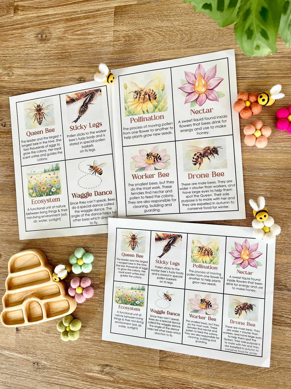Digital Download | Bee Informational Flash Cards | Comes With 2 Sizes featuring illustrated bee facts such as queen bee, pollination, and waggle dance arranged beside wooden trays and sensory bee figures, handcrafted homeschool education resources.