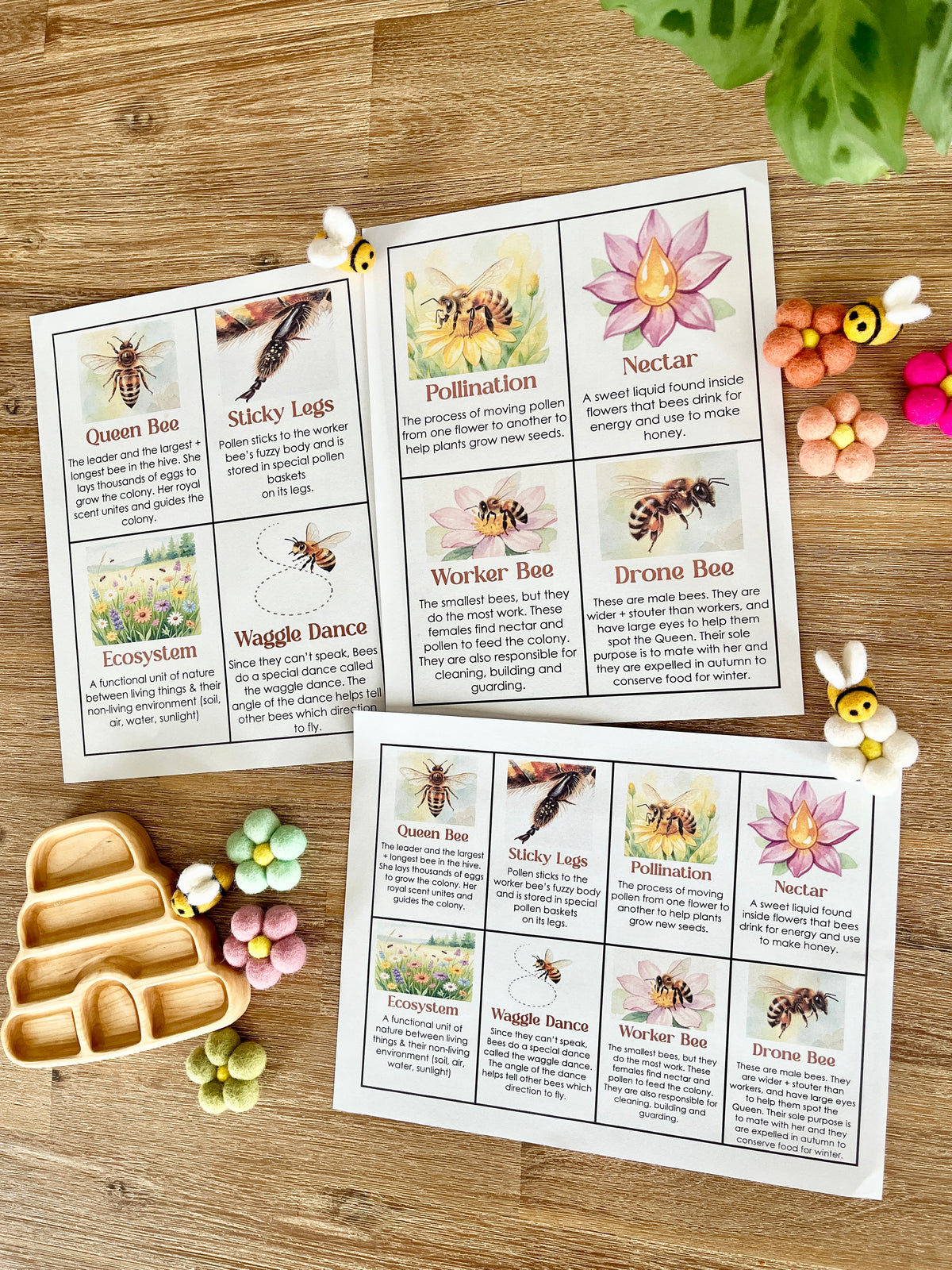 Digital Download | Bee Informational Flash Cards | Comes With 2 Sizes featuring illustrated bee facts such as queen bee, pollination, and waggle dance arranged beside wooden trays and sensory bee figures, handcrafted homeschool education resources.