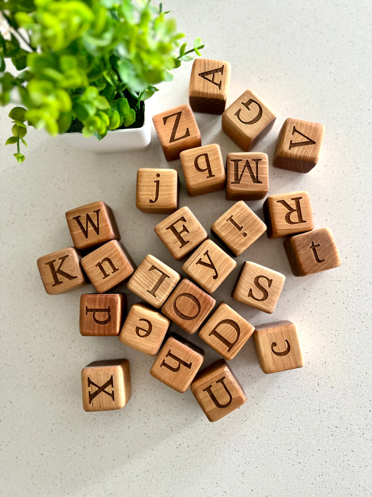 Scattered wooden blocks with uppercase and lowercase letters next to a small potted green plant on a white surface