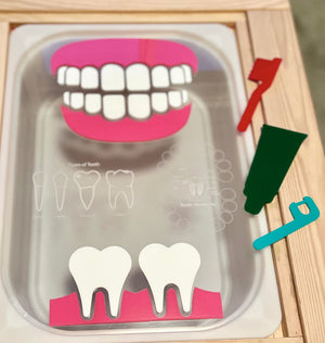 Wooden dental model with removable teeth, red toothbrush, green toothpaste tube, blue floss pick on a light wood tray