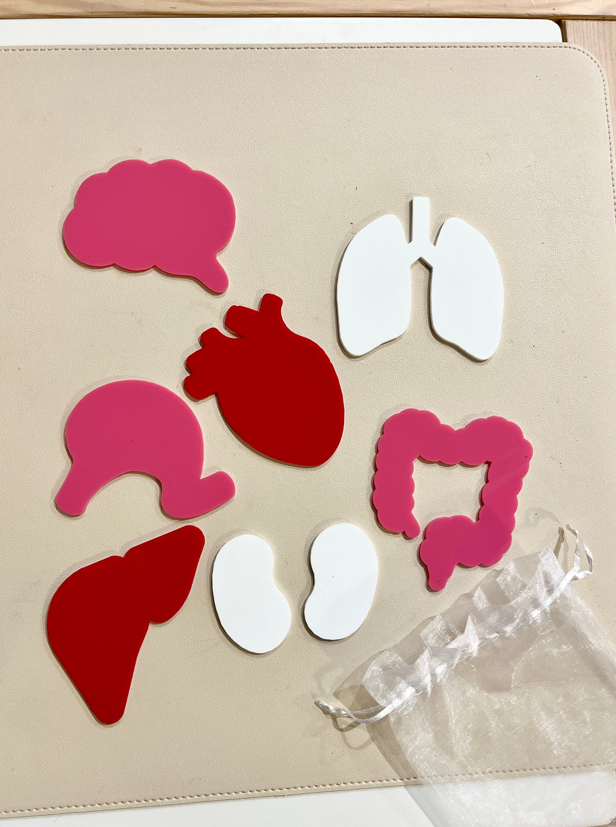 Assorted colorful plastic cutouts depicting human organs including brain, lungs, heart, stomach, liver, kidneys, and intestines on beige surface