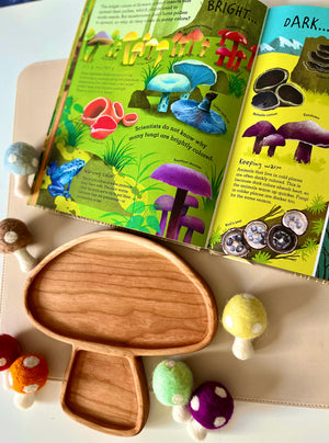 Open illustrated children’s book about colorful mushrooms with a wooden mushroom-shaped tray and felt mushroom toys nearby