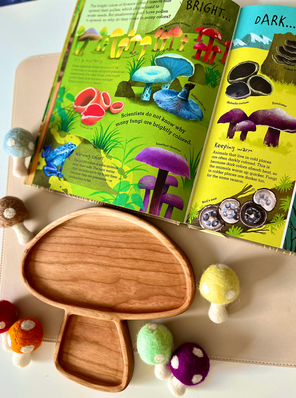 Open illustrated children’s book about colorful mushrooms with a wooden mushroom-shaped tray and felt mushroom toys nearby