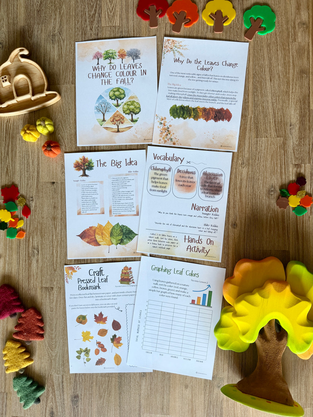 Digital Download | An Autumn Equinox Unit Study | Fall Season Unit Study