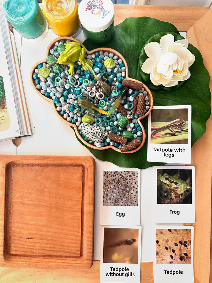 Cloud-shaped wooden sensory tray filled with colorful beads, toy frogs, and nature-themed educational cards on table with leaf decor