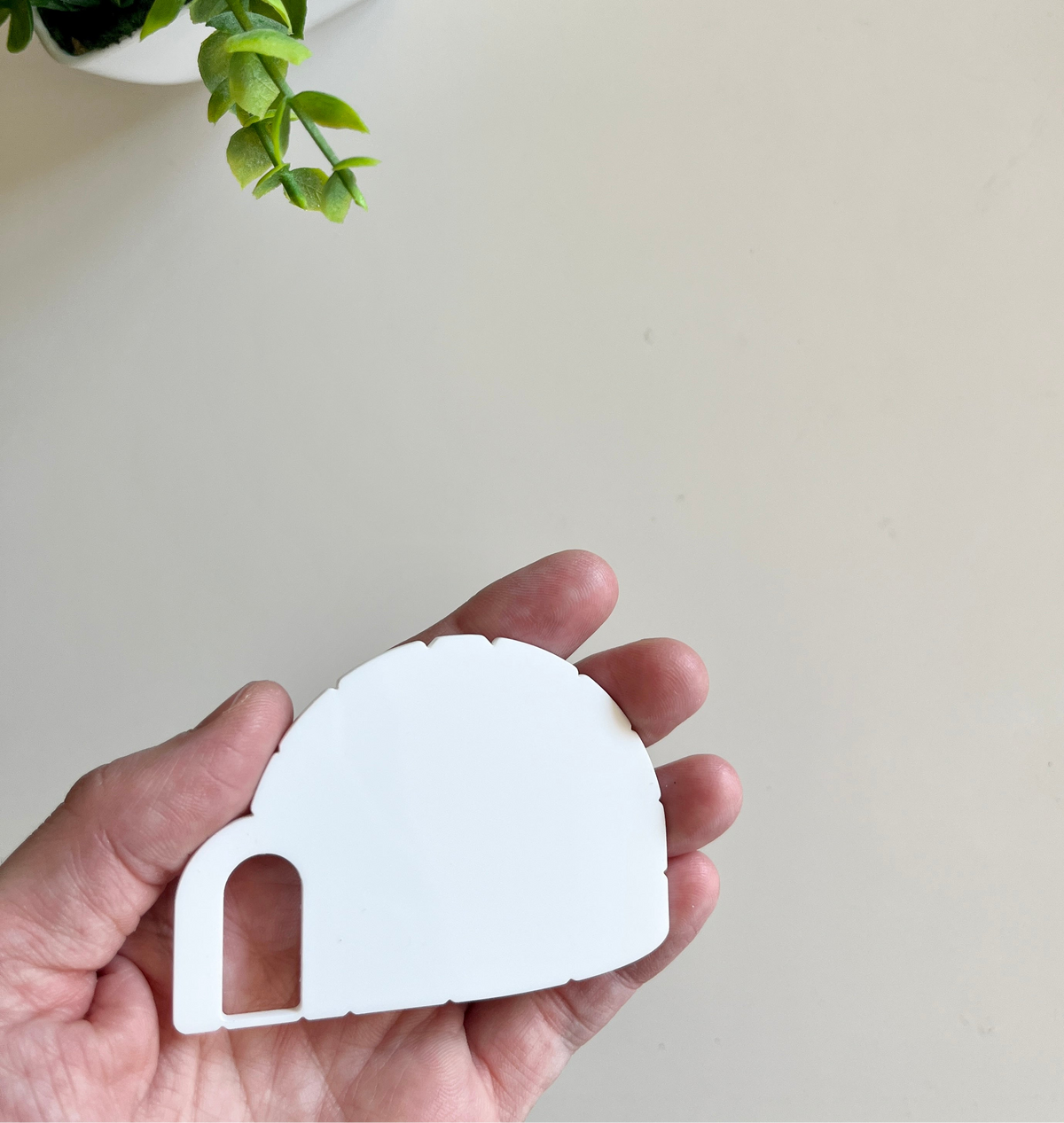 Person holding a smooth white plastic tape measure-shaped cutout with a green leafy plant in the top corner on a light surface