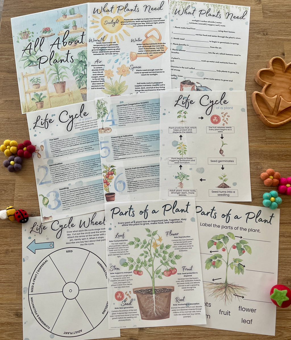 Printed educational worksheets and activity pages laid out on a wooden surface featuring illustrated plant life cycles, plant needs, parts of a plant, and a life cycle wheel, designed as Digital Download | Spring Gardening Complete Unit Study with handcrafted homeschool education resources.