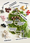 Sports Fun Filler Sensory Kit