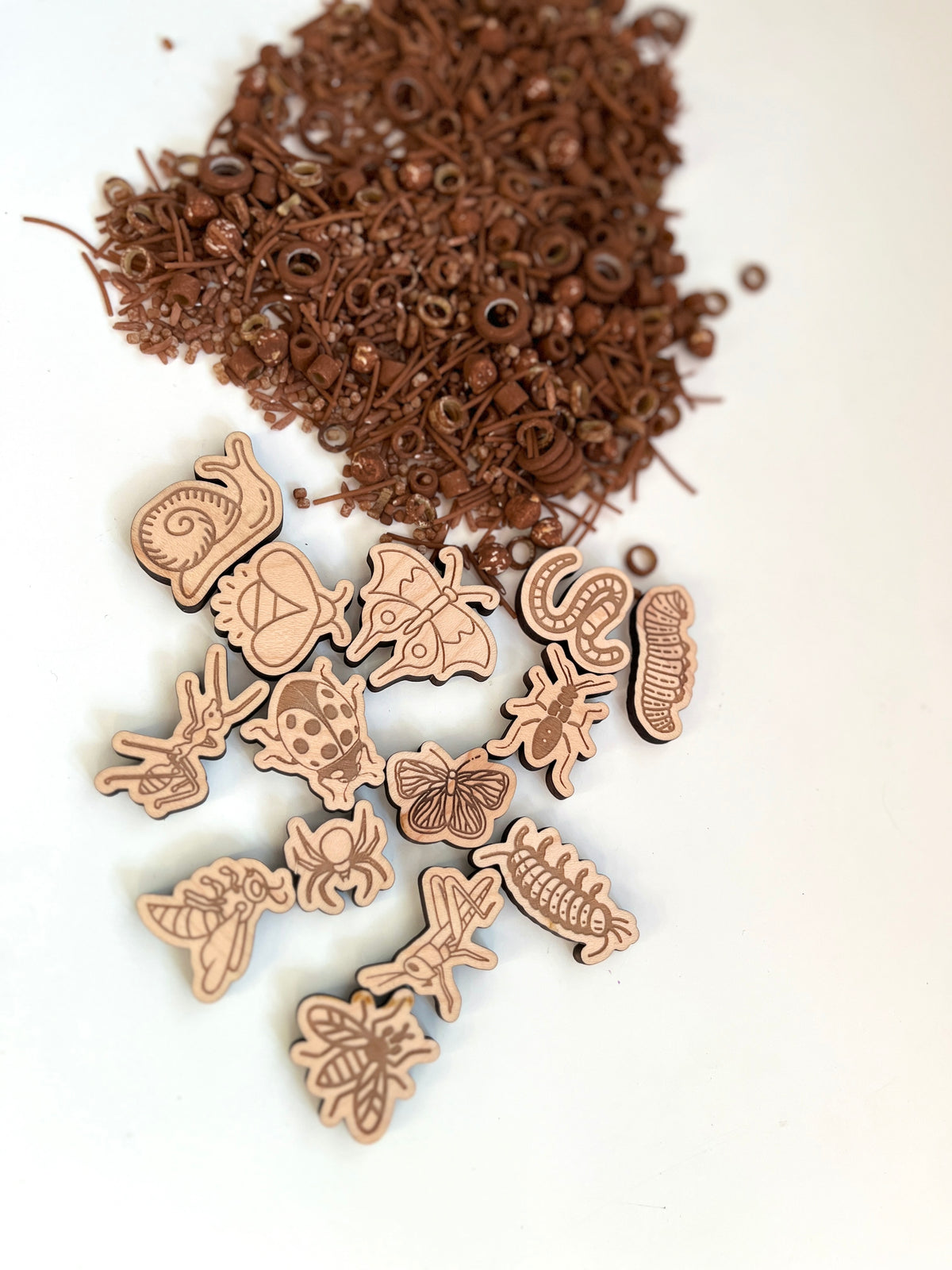 Wooden insect and bug cutouts with engraved details scattered near small brown plastic beads and rings on white surface