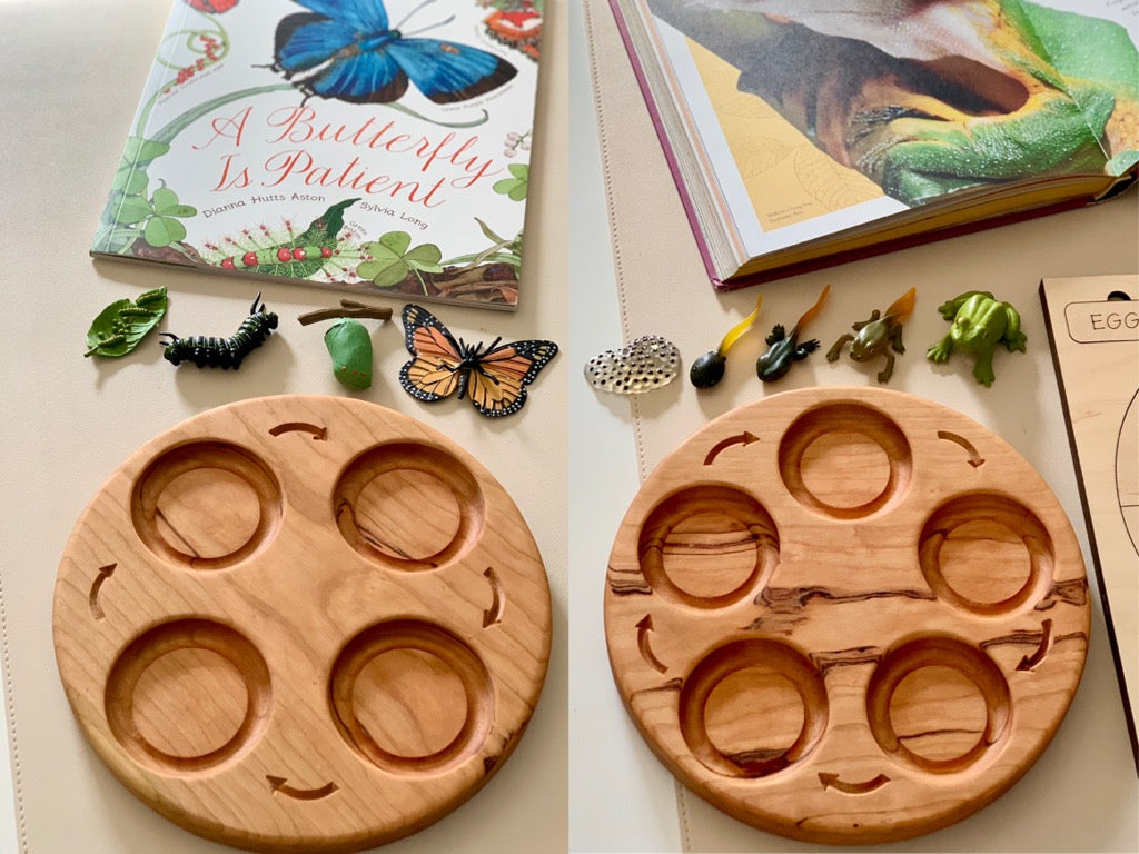 Two round wooden trays with four circular compartments each, surrounded by small insect and amphibian figurines and open nature books above.