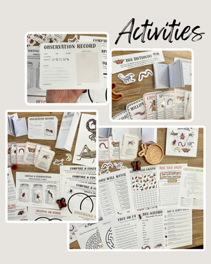 Collection of insect-themed educational printables and activity cards laid out on a wooden surface, including observation records and puzzle sheets, featuring Digital Download or Print & Bound | Little Crawlers Unit Study, Activity/Review Package & Flash Cards, handcrafted, homeschool, education resources.