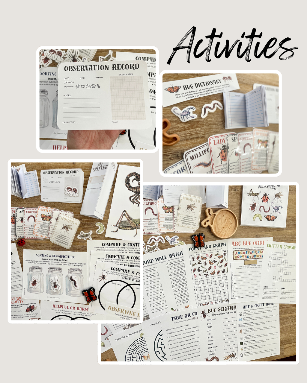 Collection of insect-themed educational printables and activity cards laid out on a wooden surface, including observation records and puzzle sheets, featuring Digital Download or Print & Bound | Little Crawlers Unit Study, Activity/Review Package & Flash Cards, handcrafted, homeschool, education resources.