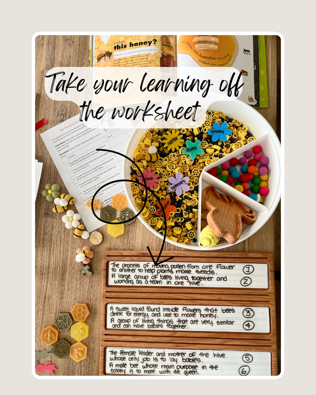 Wooden Sentence & Learning Tray | Open Ended Literacy Board | Math & Play featuring handcrafted wood trays with colorful bee-themed sensory filler, small pom-poms, wooden bee figure, and handwritten sentence cards, unique homeschool educational resources.