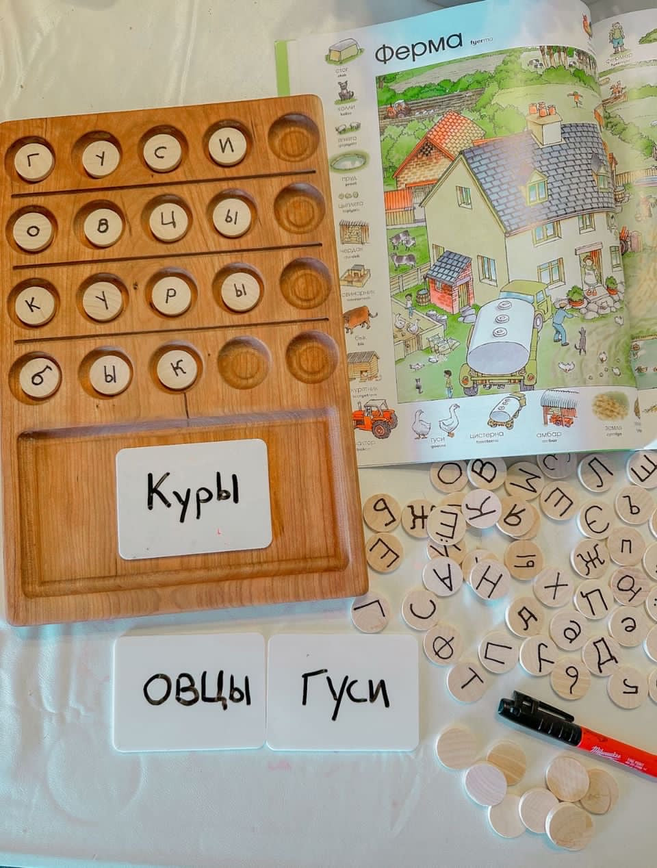 Wooden 20 Twenty Frame Sensory Tray with round alphabet discs, small dry erase cards, and marker on white surface