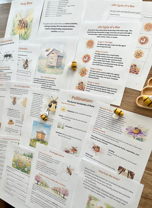 Digital Download | Bees Unit Study featuring educational pages on bee anatomy, life cycle stages, pollination, and bee roles, displayed on a wooden surface with handcrafted, homeschool education resources.