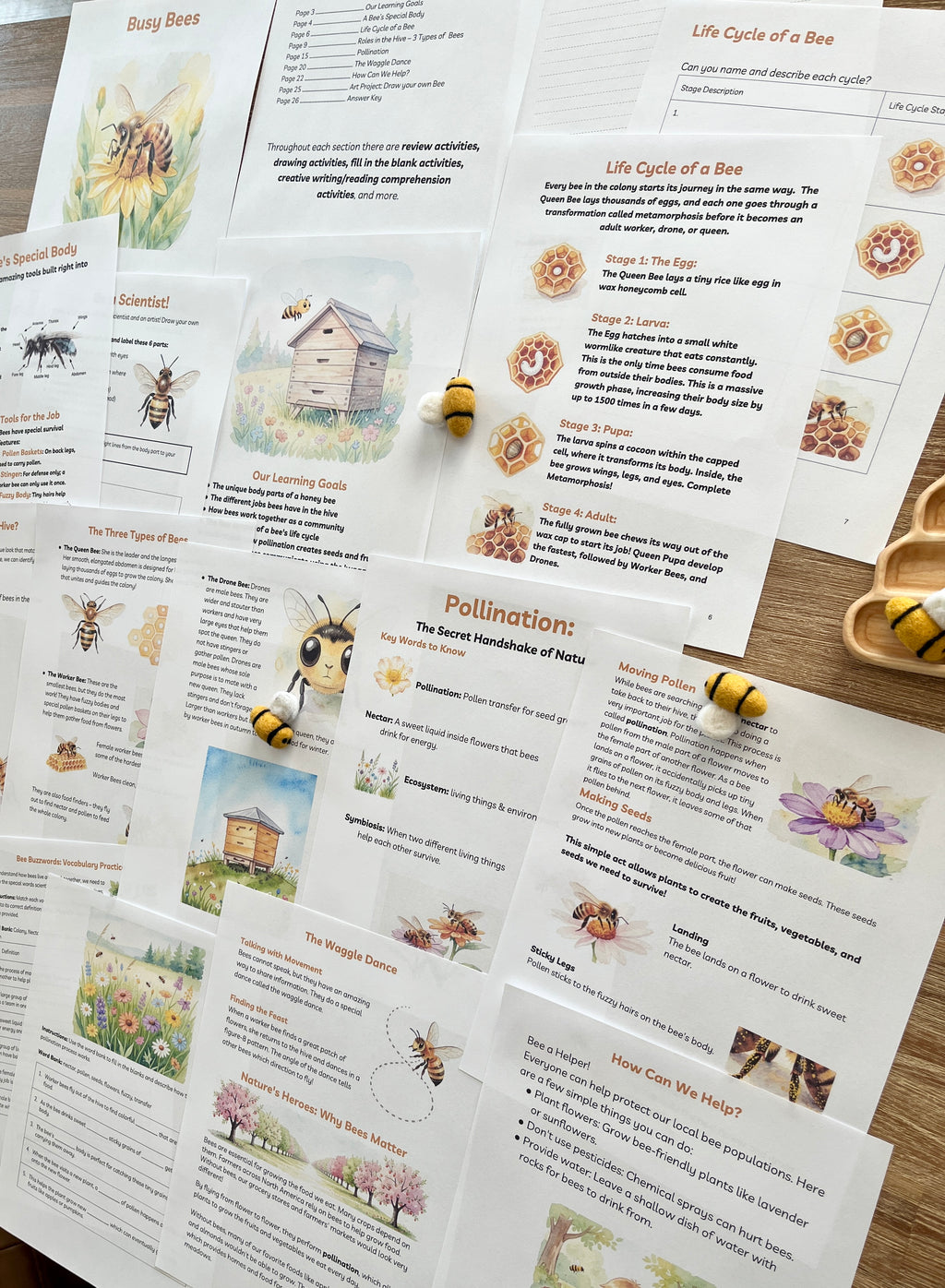 Digital Download | Bees Unit Study featuring educational pages on bee anatomy, life cycle stages, pollination, and bee roles, displayed on a wooden surface with handcrafted, homeschool education resources.