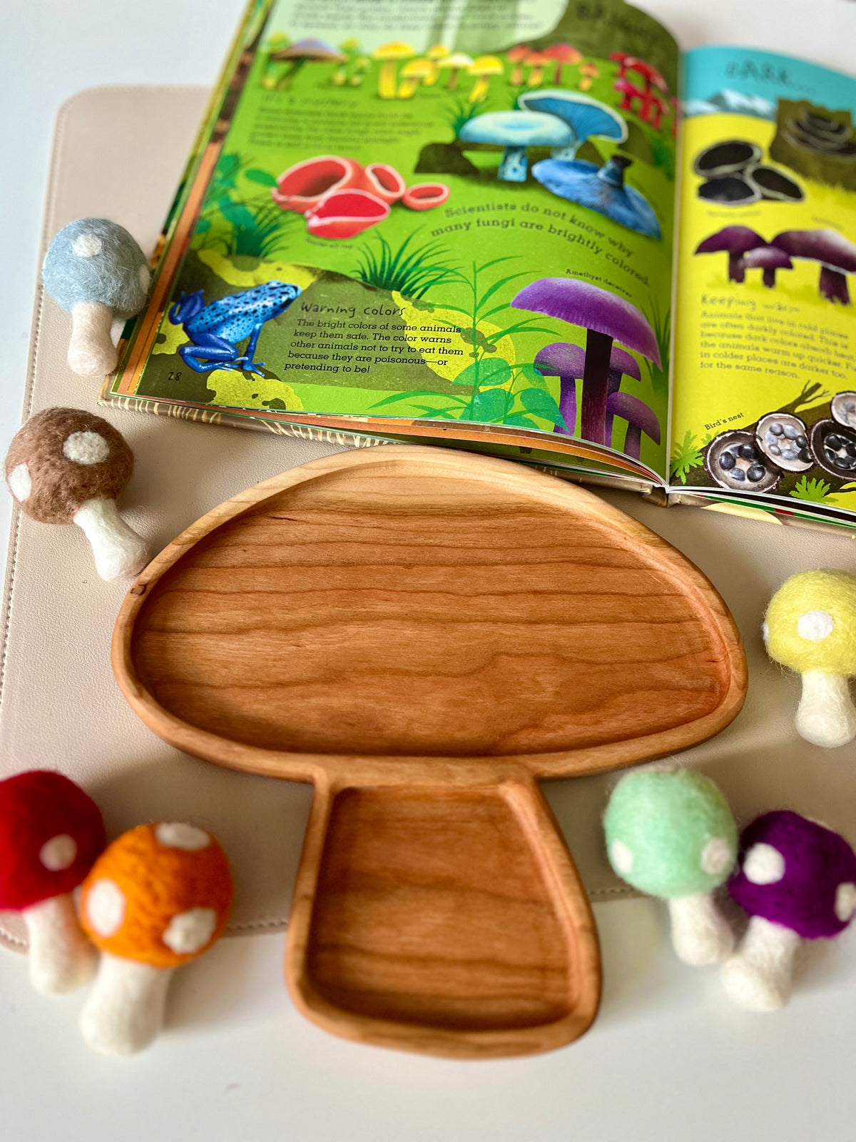 Wooden tray shaped like a mushroom surrounded by colorful felt mushroom toys with a nature-themed children's book in the background
