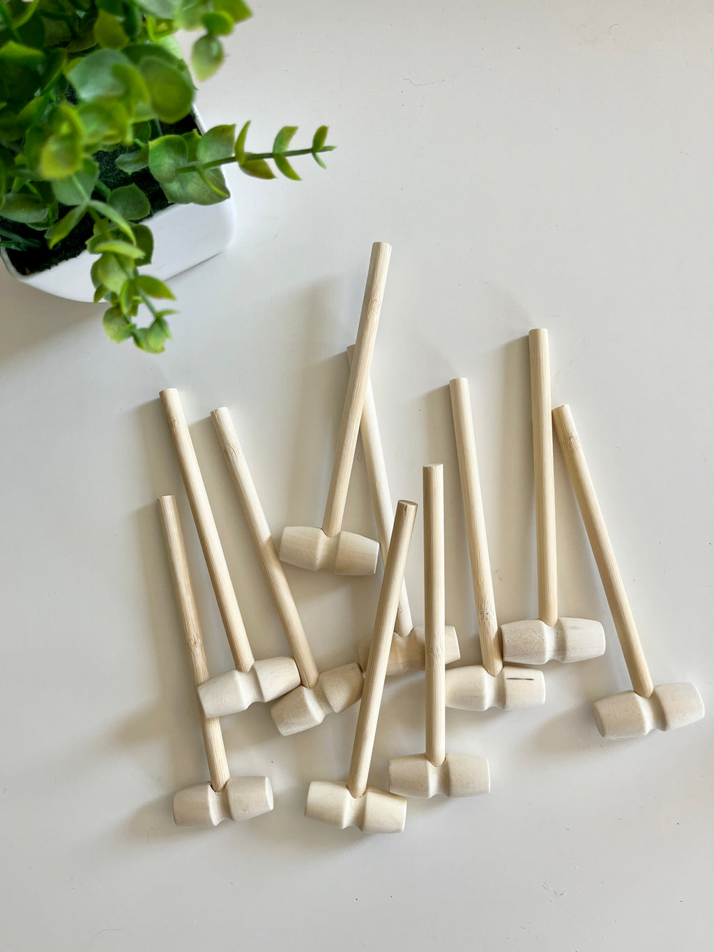 Several small wooden mallets with round heads scattered on a white surface next to a potted green plant