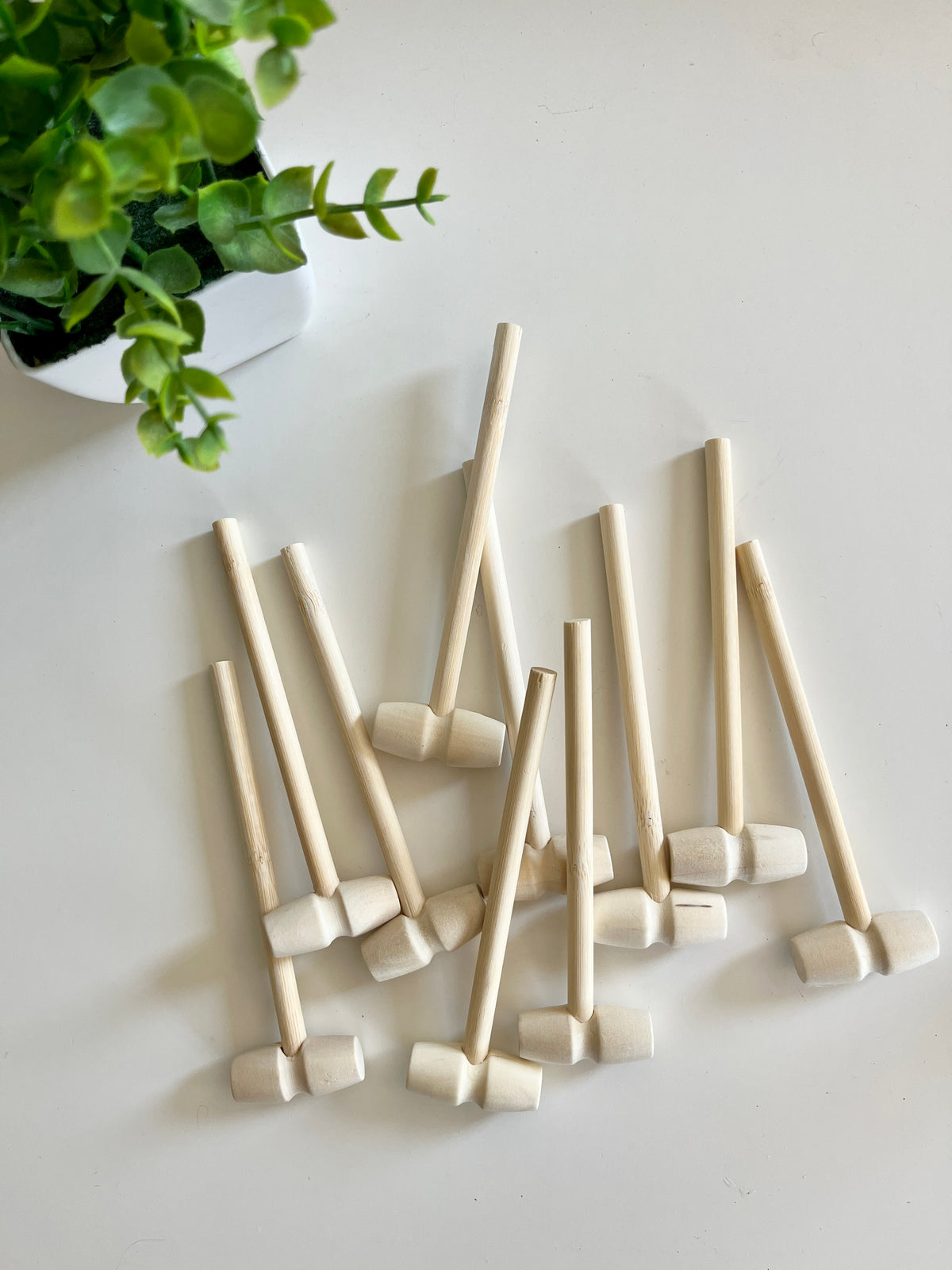 Several small wooden mallets with round heads scattered on a white surface next to a potted green plant