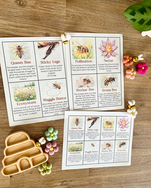 Digital Download | Bee Informational Flash Cards | Comes With 2 Sizes featuring illustrated cards on bee roles, pollination, and ecosystem alongside wooden bee-shaped trays and felt flower sensory fillers, handcrafted homeschool education resources.