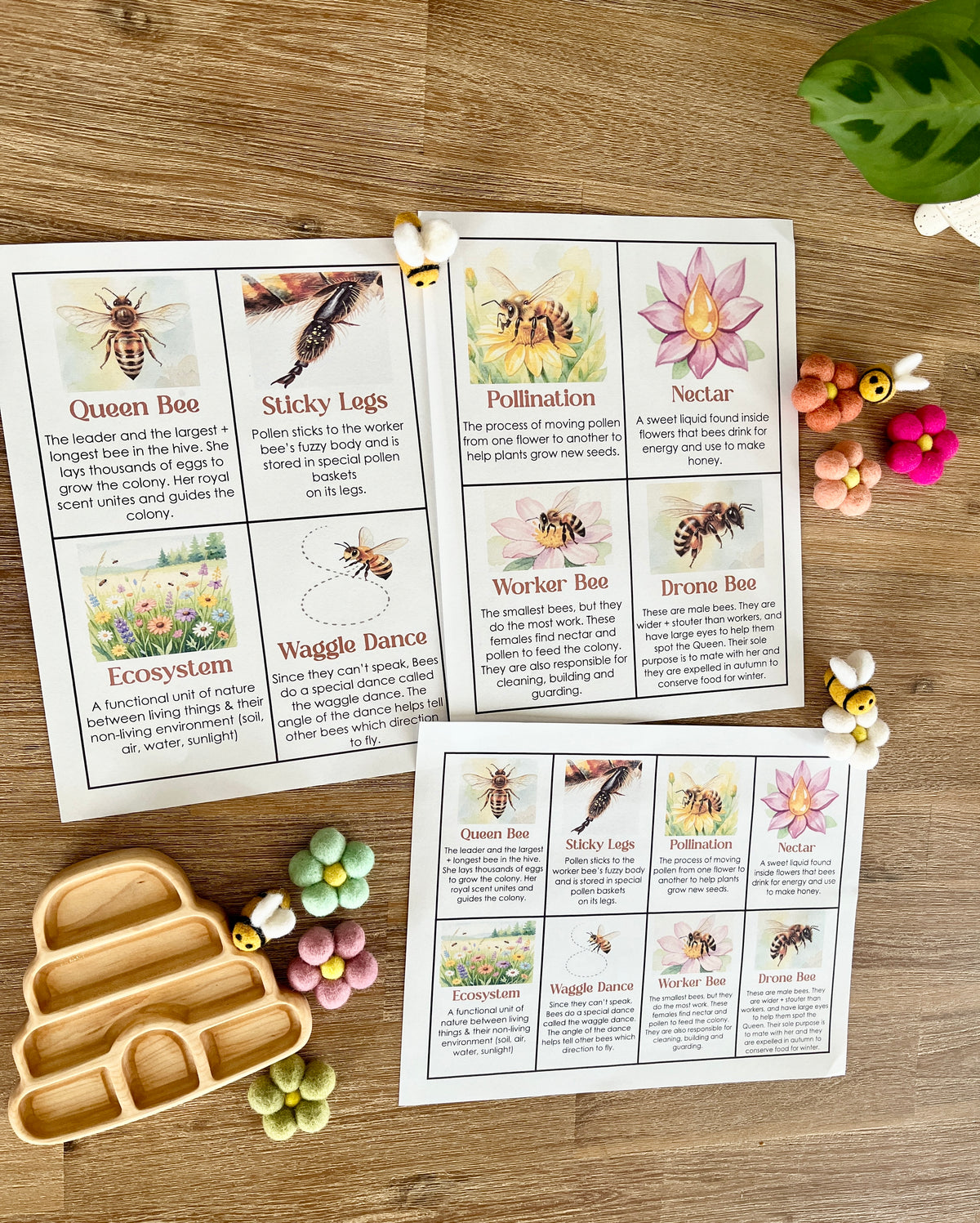 Digital Download | Bee Informational Flash Cards | Comes With 2 Sizes featuring illustrated cards on bee roles, pollination, and ecosystem alongside wooden bee-shaped trays and felt flower sensory fillers, handcrafted homeschool education resources.