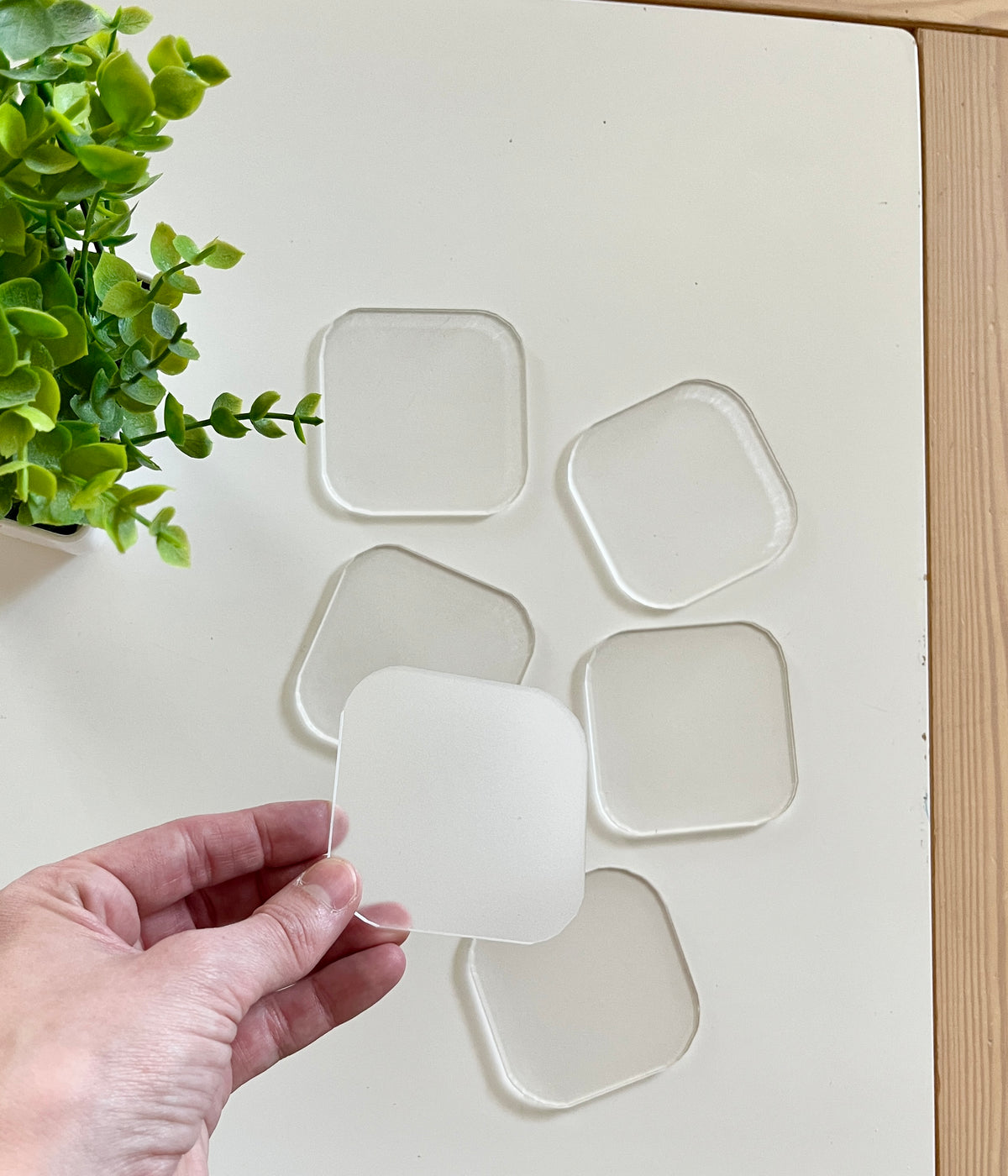 Hand holding one of six clear, rounded square silicone pads arranged on a white surface beside a small green plant