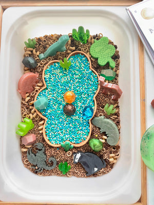 White cloud-shaped sensory tray with blue beads, wooden desert animal and cactus figures on brown sensory base