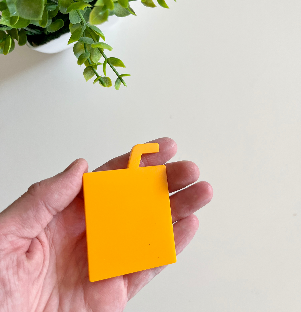 Hand holding a smooth orange juice box-shaped cutout with a leafy green plant in the background on a light surface