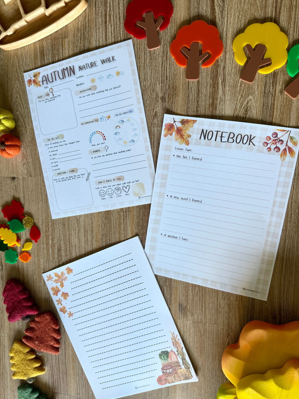 Digital Download | An Autumn Equinox Unit Study | Fall Season Unit Study