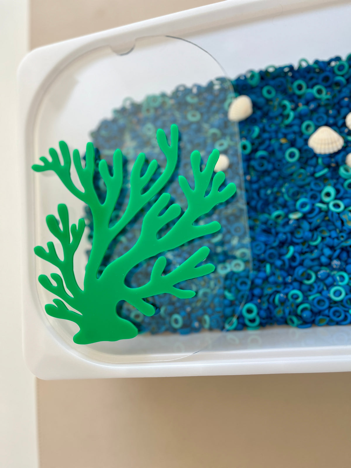 Clear plastic container with blue sensory beads, small seashells, and green coral-shaped decoration on white surface