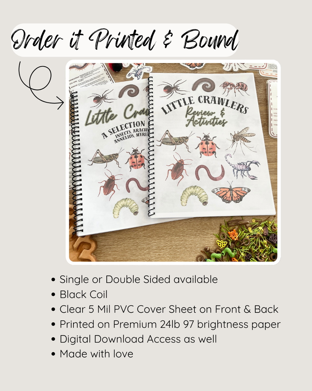 Printed and bound insect-themed homeschool activity and review booklets featuring colorful bug illustrations on cover, with handcrafted education resources, Digital Download or Print & Bound | Little Crawlers Unit Study, Activity/Review Package & Flash Cards.