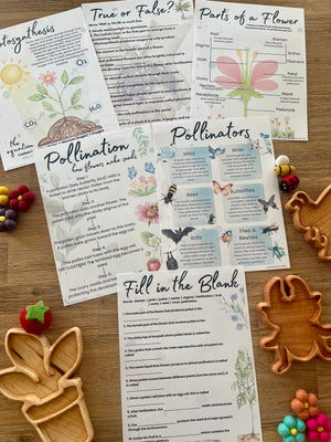 Printable homeschool education pages featuring flower anatomy, pollination process, true or false questions, and fill-in-the-blank exercises arranged on a wooden surface with natural, handcrafted learning tools for Digital Download | Spring Gardening Complete Unit Study.