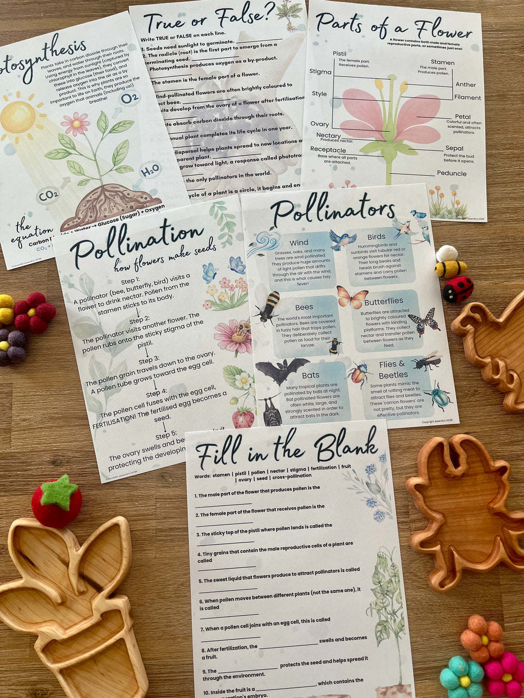 Printable homeschool education pages featuring flower anatomy, pollination process, true or false questions, and fill-in-the-blank exercises arranged on a wooden surface with natural, handcrafted learning tools for Digital Download | Spring Gardening Complete Unit Study.