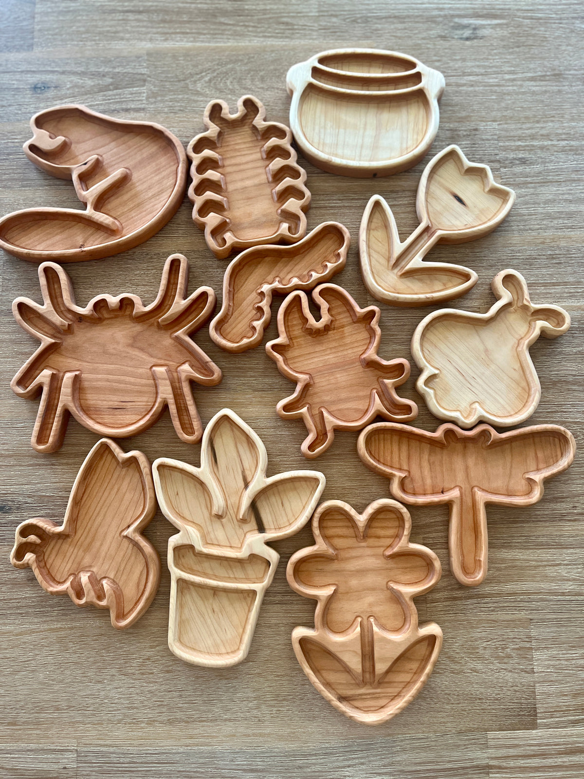 Collection of handcrafted wooden Bug Trays featuring insect and plant shapes arranged on a wood surface, designed as homeschool sensory and educational resources.