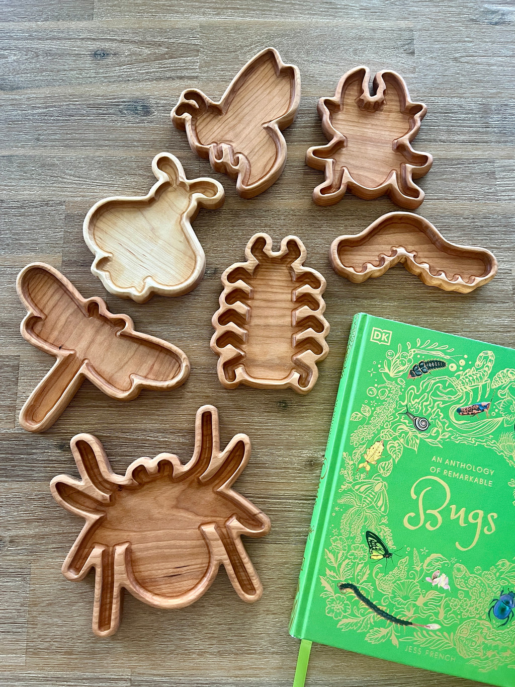 Set of handcrafted wooden Bug Trays shaped like various insects, displayed alongside a green educational book about bugs, suitable for homeschool sensory and learning activities.