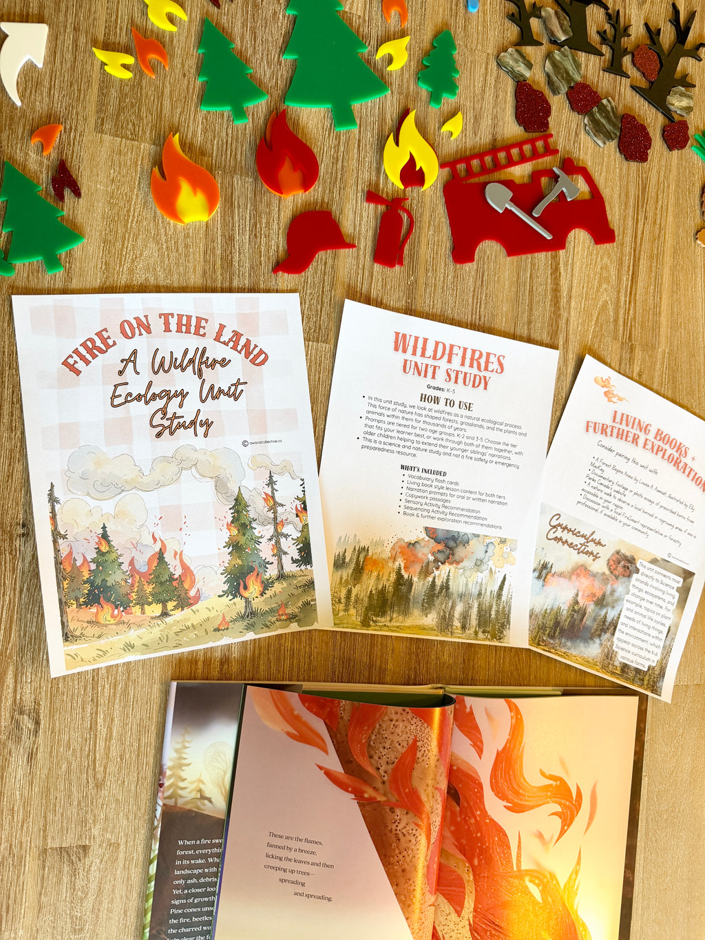 Digital Download | A Wildfire Ecology Unit Study